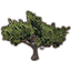 Baum, schattige Wüstenakazie Icon