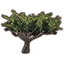 Arbre, acacia du désert icon