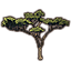 Árbol, acacia anequina arqueada icon