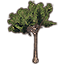 Baum, emporragender Iroko icon