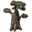 Tree, Massive Ficus Icon icon