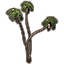 Деревья (веерные пальмы скопление) icon