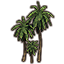 Árboles, grupo de palmeras de sombra icon