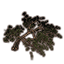 Tree, Angled Ash icon