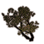 Trees, Paired Leaning Juniper Icon