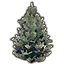 Tree, Snowy Fir Icon