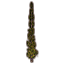 Topiaria, ciprés fuerte Icon