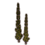 Фигурный куст (парный кипарис) Icon icon