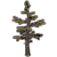 Baum, weite Wrothgarpinie icon