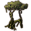 Tree, Treehenge Green Lady icon