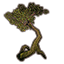 Tree, Mossy Swamp icon