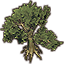 Árbol, flor del wyrd trepadora gigante Icon icon