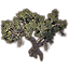 Baum, Bergmahagoni icon