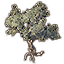 Baum, verdrehter Bergmahagoni icon