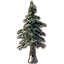 Arbre, pin blanc des basses-terres Icon icon