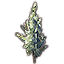 Pousse, pin blanc icon
