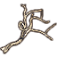 Driftwood, Spindly Icon icon