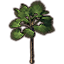 Tree, Thatch Palm icon