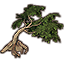 Tree, Large Water Chestnut icon