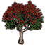 Tree, Flowering Red Poinsettia Icon icon