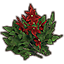 Fleurs étoile de Noël Icon icon