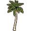 Arbre, palmier royal Icon icon