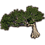 Tree, Sturdy Tamanu Icon icon