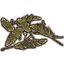 Leaf Pile, Royal Palm Icon icon