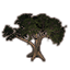 Árbol, tronco ancho icon