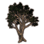Tree, Upstretched Shade icon