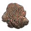 Formación de coral, abanico en grupo Icon