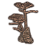 Formación de coral árboles con sombrero Icon