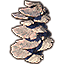 Korallenformation, abgestufte Regale Icon icon