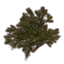 Furniture icon for Куст (саммерсетская ель)
