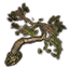 Árbol, picea de Estivalia icon
