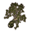 Дерево (древняя саммерсетская ель) icon