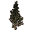 Baum, blühender Ginkgo icon