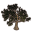 Baum, alter blühender Ginkgo icon