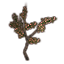 Саженец (гинкго) icon
