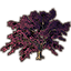 Дерево (большой розовый клен) icon