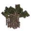 Baum, junge Mangrove icon