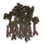 Setzlinge, Mangrove icon