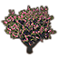 Bush, Rhododendron icon