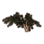 Pflanze, Meerträubel Icon icon