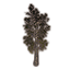 Baum, emporragende Pappel icon