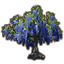 Jeune pousse, wisteria bleue icon