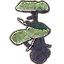 Green Algae Coral Formation, Tree Capped Icon