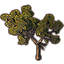 Дерево (большая галенская сосна) icon