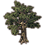 Tree, Robust Fig Icon