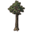 Tree, Towering Fig Icon